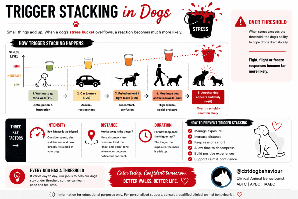 Trigger stacking in dogs infographic showing how stressors build up over threshold, with intensity, distance, duration, and prevention tips