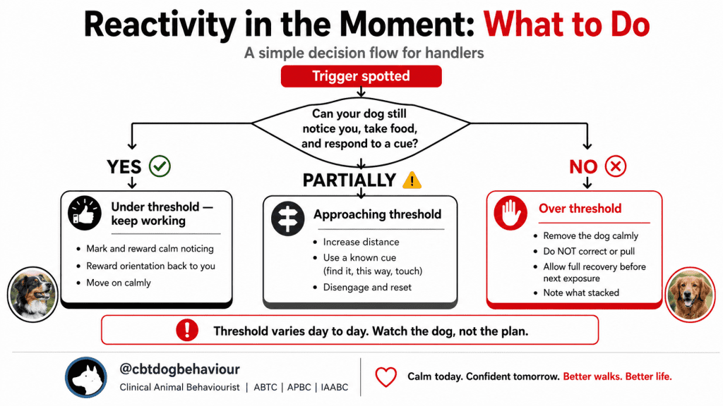 Decision flow chart for managing dog reactivity in the moment, showing when a dog is under threshold, approaching threshold or over threshold.